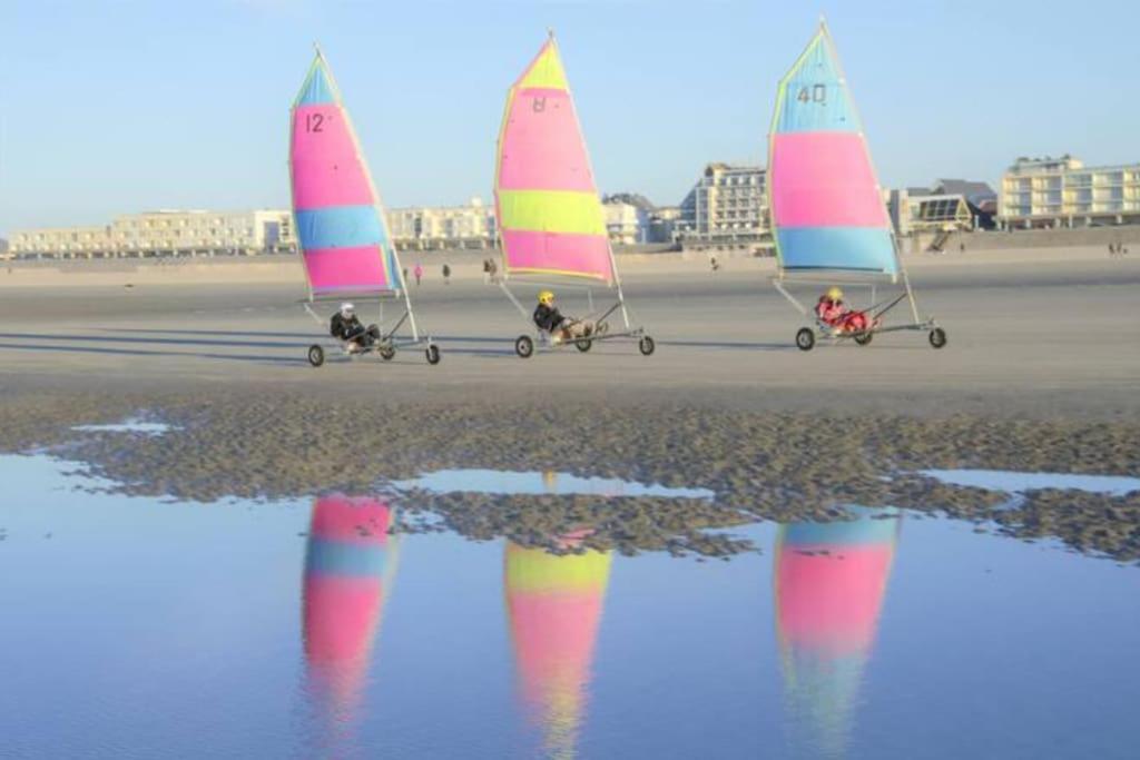 Cozy D'Opale Charmant T1 Bord De Mer Cour Privee Et Clot Wifi 3 Pers Animaux Acceptes Gratuit Leilighet Berck Eksteriør bilde